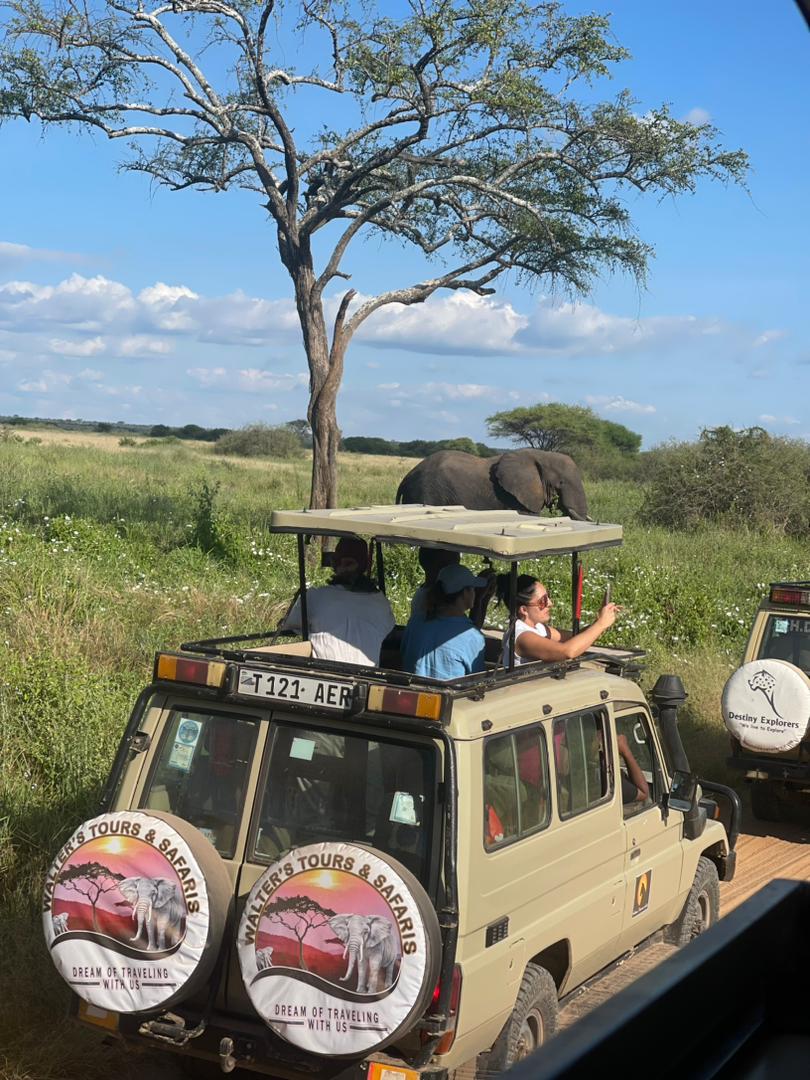 CREATE YOUR ADVENTURE